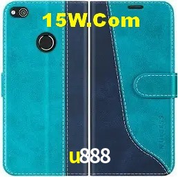 Segurança 2FA u888